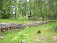 Остатки перрона в Мичуринском (Valkjärvi). На нем лежит тендер от паровоза.