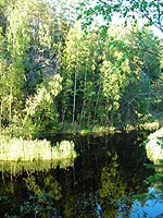 На озере Каллиоярви.