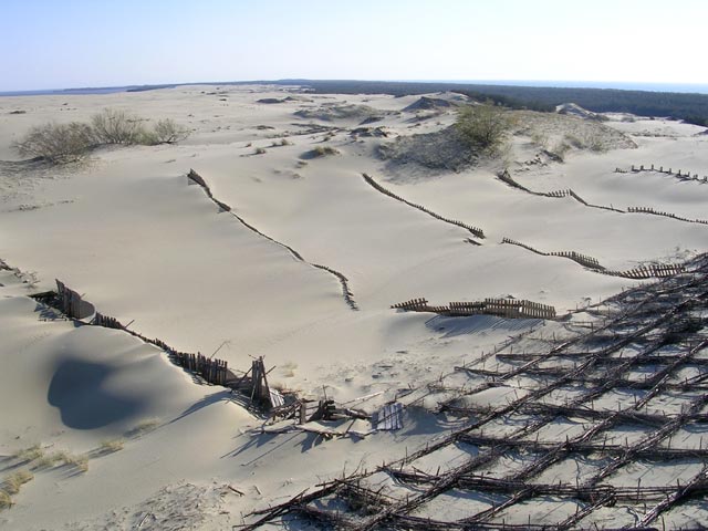 Укрепление ползущих песков дюн