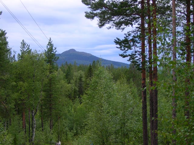 Гора Пяйнур - одна из самых высоких в Карелии - 486 м.