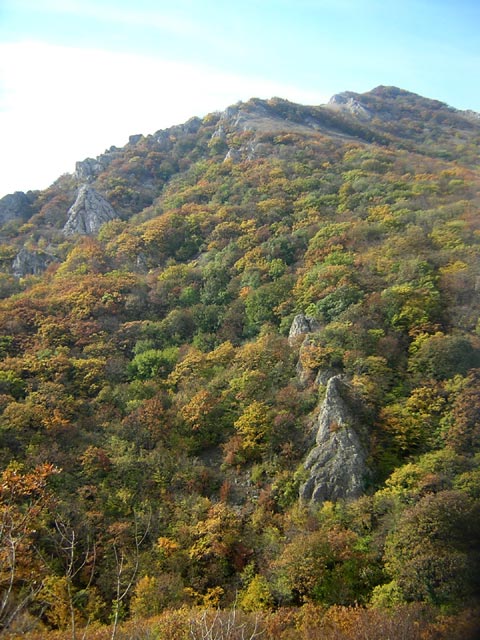 Около перевала Кок-Асан-Богаз.