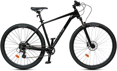 ������ ��������� Horst Denton 27.5 2026